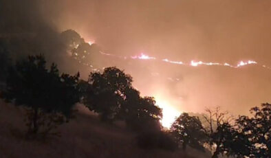 Manisa’da bir orman yangını daha çıktı: Takımlar alevlerle uğraş ediyor