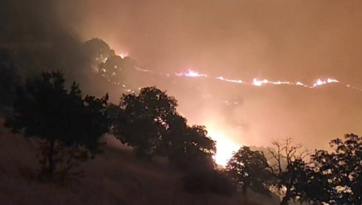 Manisa’da bir orman yangını daha çıktı: Takımlar alevlerle uğraş ediyor