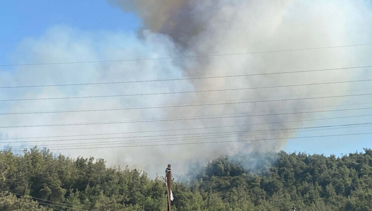 Manisa’da ormanlık alanda yangın çıktı