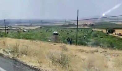 Mardin’de çiftçiyi şoke eden manzara: Tarlasındaki karpuzları topladılar