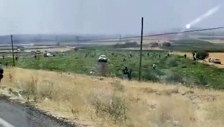 Mardin’de çiftçiyi şoke eden manzara: Tarlasındaki karpuzları topladılar