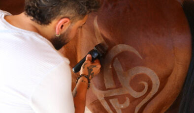 Mersinli berber, mesai saatlerinin dışında at tıraşında