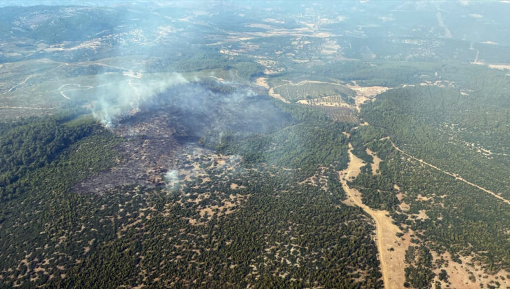 Muğla’da çıkan orman yangını denetim altında