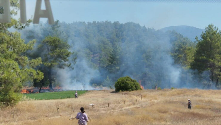 Muğla’da korkutan ot yangını