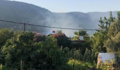 Muğla’da kuru otların tutuşmasıyla yangın çıktı