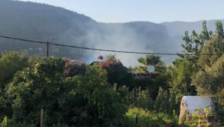 Muğla’da kuru otların tutuşmasıyla yangın çıktı