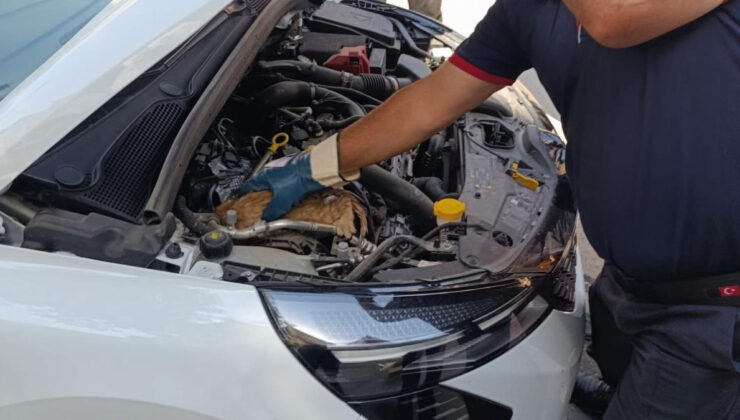 Muş’ta arabanın motoruna sıkışan yavru kedi kurtarıldı