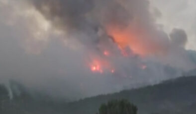 Nebi Hatipoğlu, tv100’de bilgi verdi: Aksi rüzgar nedeniyle 10 orman emekçimiz şehit oldu