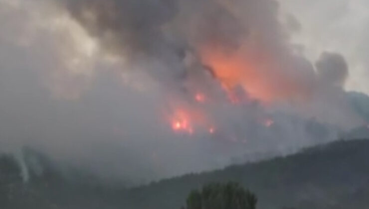 Nebi Hatipoğlu, tv100’de bilgi verdi: Aksi rüzgar nedeniyle 10 orman emekçimiz şehit oldu
