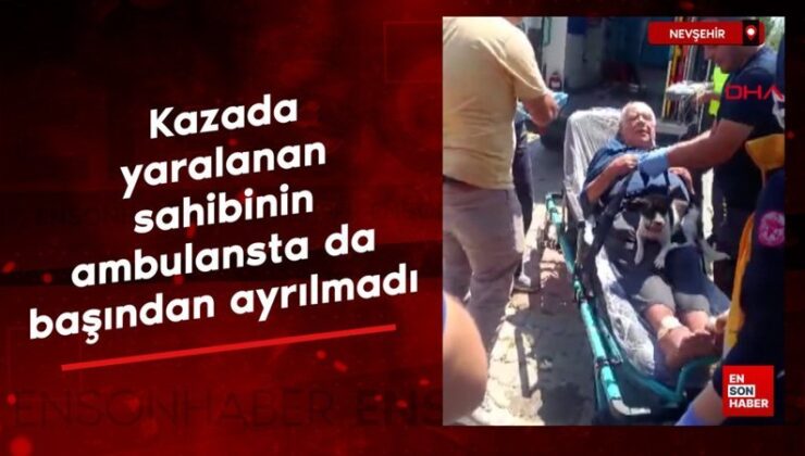 Nevşehir’de kazada yaralanan sahibinin ambulansta da başından ayrılmadı