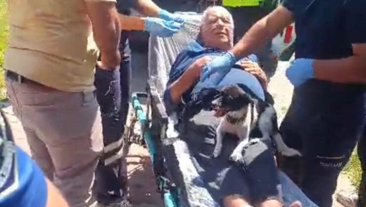 Nevşehir’de köpek, ırmağa düşen sahibini yalnız bırakmadı