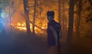 Orman kahramanları Yeşil Vatan için gayret veriyor