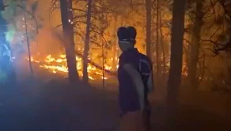 Orman kahramanları Yeşil Vatan için gayret veriyor