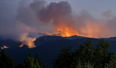Orman şehitlerinin naaşları kimlik tespiti için Ankara’ya sevk edildi