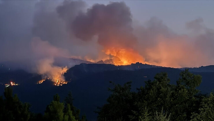 Orman şehitlerinin naaşları kimlik tespiti için Ankara’ya sevk edildi