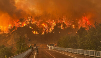 Orman yangınlarının bilançosu: 27 kişi tutuklandı, 311 konut ziyan gördü