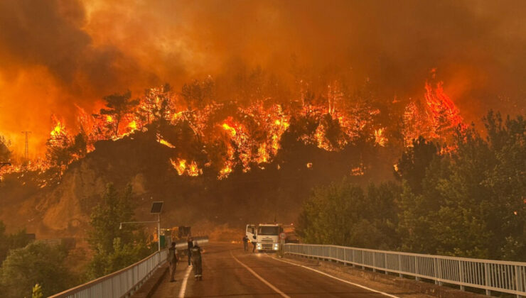 Orman yangınlarının bilançosu: 27 kişi tutuklandı, 311 konut ziyan gördü