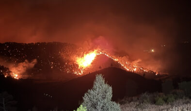 Orman yangınlarının yüzde 90’ı insan kaynaklı