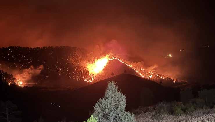 Orman yangınlarının yüzde 90’ı insan kaynaklı