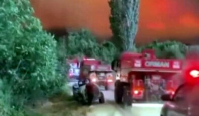 Sakarya’da alev çemberinin içinden geçtiler