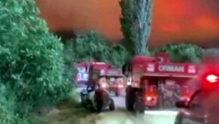 Sakarya’da alev çemberinin içinden geçtiler