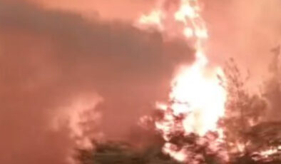 Sakarya’da alevlerin ortasında kalan grubun güç anları görüntülendi