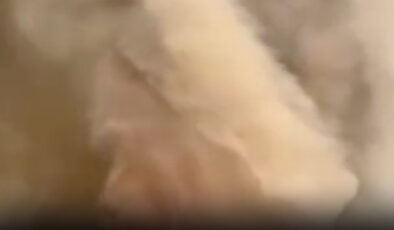 Sakarya’da başlayıp Bilecik’e sıçrayan yangın alev hortumu oluşturdu