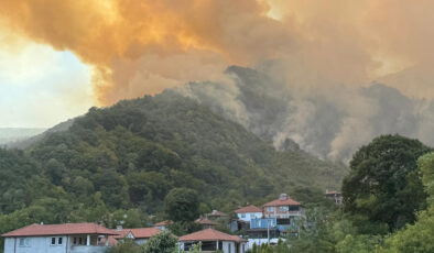 Sakarya’da çıkan yangın sonrası D-650 kara yolu ulaşıma kapatıldı
