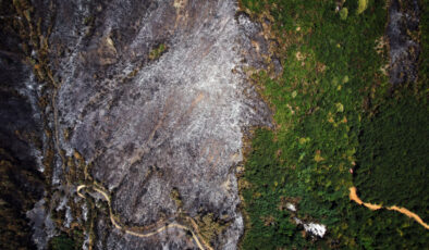 Sakarya’da çıkan yangında ormanlar kül oldu