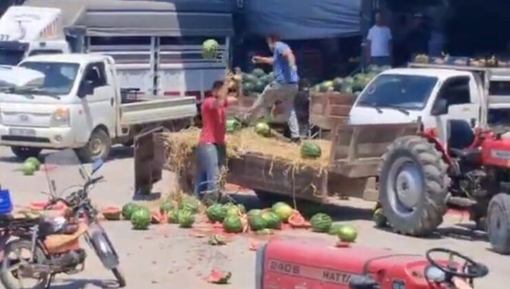 Sakarya’da karpuzları yere atıp parçalayan üreticiler hakkında, süreç başlatıldı
