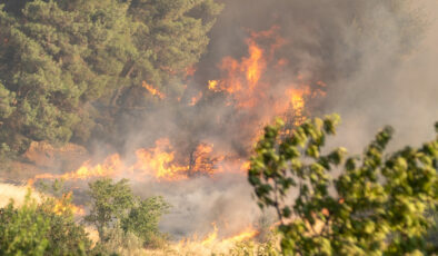 Sakarya’da orman yangını paniği: Müdahale sürüyor