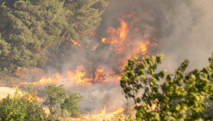 Sakarya’da orman yangını paniği: Müdahale sürüyor