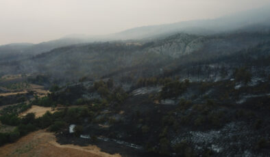Sakarya’da yanan ormanlık alanlar görüntülendi