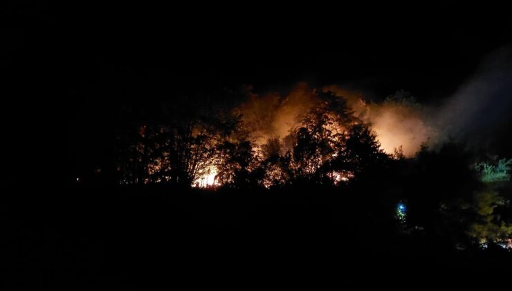Sakarya’daki orman yangınında yeni gelişme: 1 kişi tutuklandı