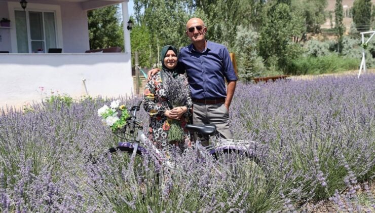 Samsun’da astım hastası eşi için yerleştiği köyde lavanta bahçesi kurdu