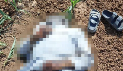 Şanlıurfa’da mısır tarlasında erkek cesedi bulundu