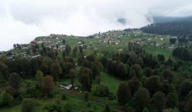 Sıcaktan bunalan vatandaşlar tercihlerini Karadeniz’in yaylalarından yana kullanıyor