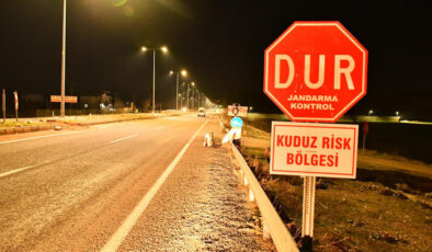 Siirt’te kuduz alarmı: Bir köyde hayvan hareketi kısıtlandı