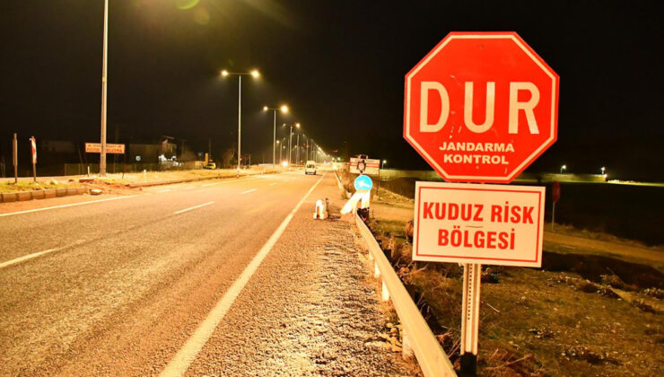Siirt’te kuduz alarmı: Bir köyde hayvan hareketi kısıtlandı