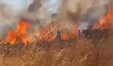 Silivri’nin 4 farklı noktasında anız yangını çıktı: 50 dönüm arazi ziyan gördü