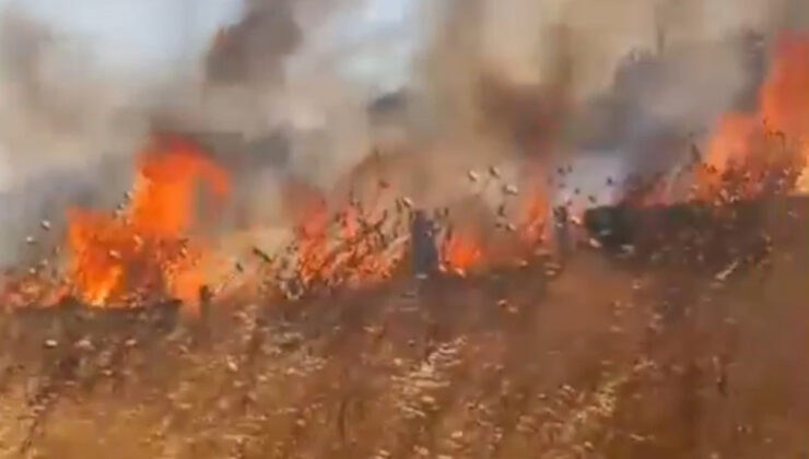 Silivri’nin 4 farklı noktasında anız yangını çıktı: 50 dönüm arazi ziyan gördü