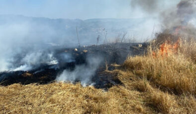 Sinop’ta anız yangını: 60 balya saman hasar gördü