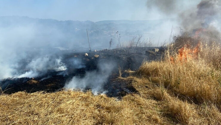 Sinop’ta anız yangını: 60 balya saman hasar gördü