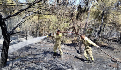 Sinop’ta orman yangınında 8 dönüm alan ziyan gördü