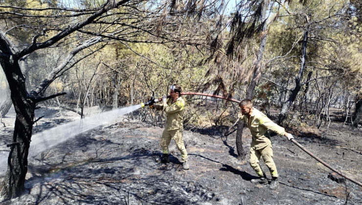 Sinop’ta orman yangınında 8 dönüm alan ziyan gördü
