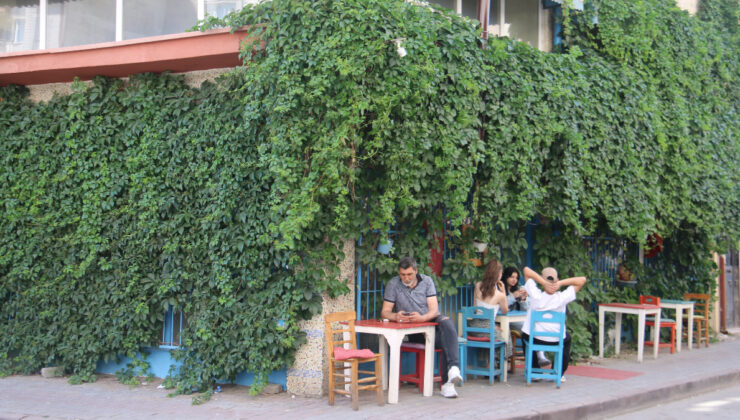 Sivas’ta gidenlerin bulmakta zorlandığı kafe