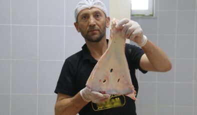 Sivas’ta kasapların yüzyıllık geleneği: Hayvan kemikleri büyüye karşı kırılıyor