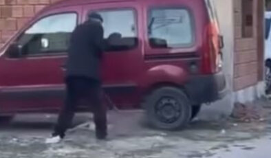 Sivas’ta köpeğe şiddet uygulayan adama 71 bin TL ceza verildi