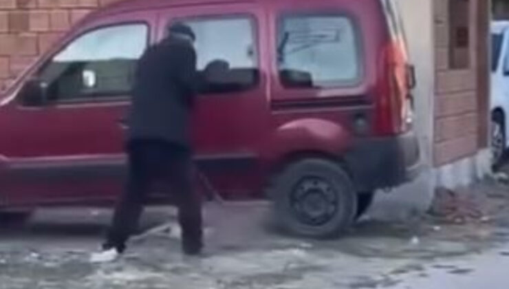 Sivas’ta köpeğe şiddet uygulayan adama 71 bin TL ceza verildi