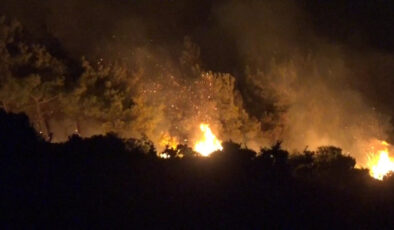 Tekirdağ ormanları alevler içinde yanmaya devam ediyor: Müdahale sürüyor